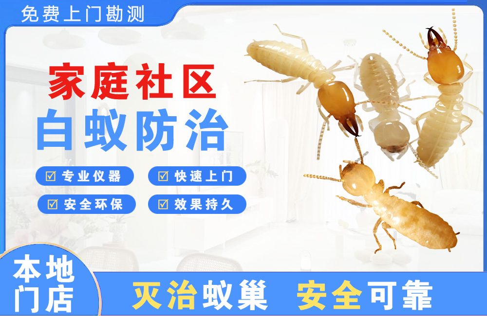 万州家庭社区白蚁防治