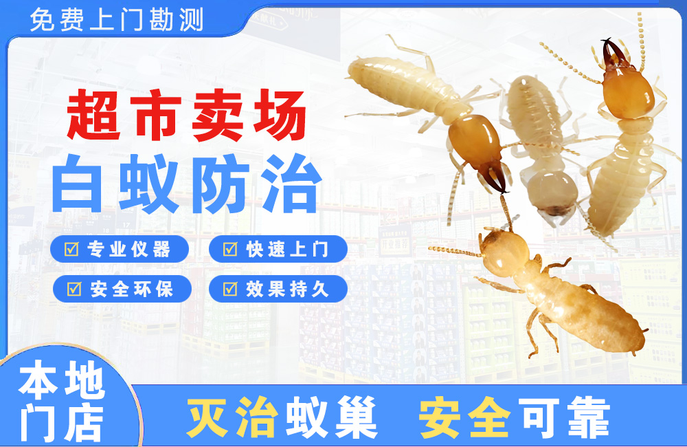 万州超市卖场白蚁防治