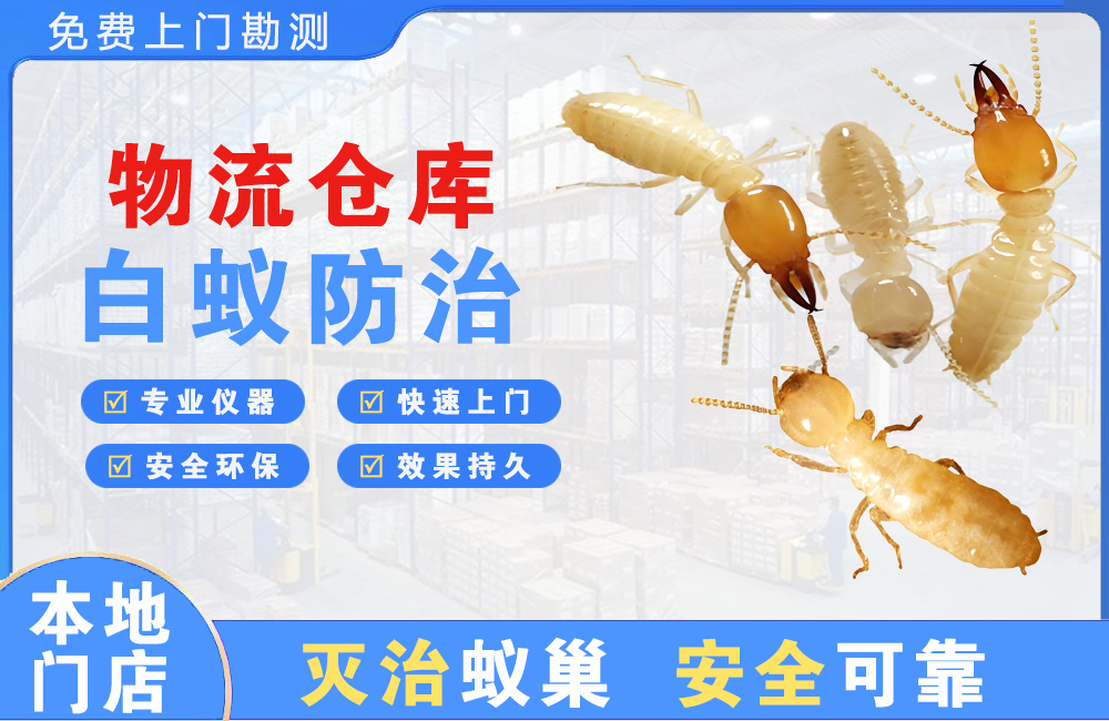 万州物流仓库白蚁防治