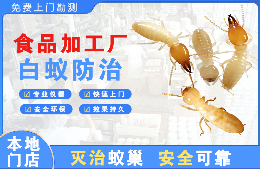 万州食品加工厂白蚁防治