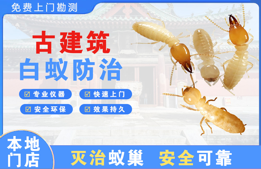 万州古建筑白蚁防治