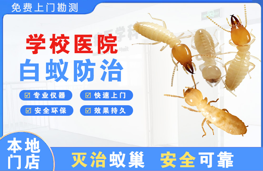 万州学校医院白蚁防治