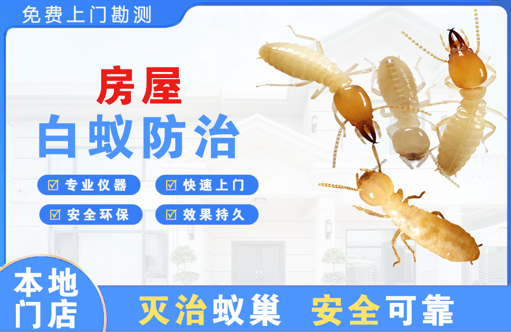 万州房屋白蚁防治