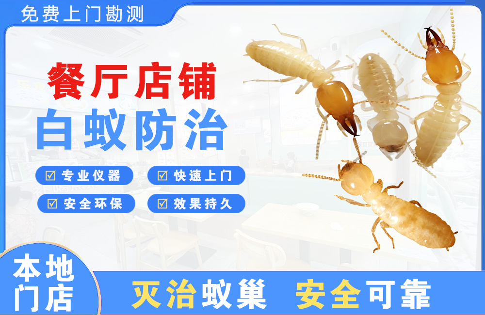 万州餐厅店铺白蚁防治